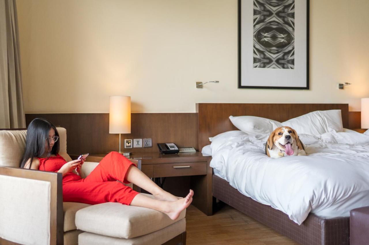 Hotel Hyatt Hyderabad Gachibowli Zewnętrze zdjęcie