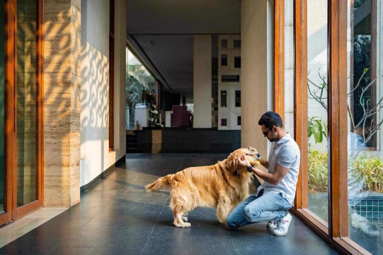 Hotel Hyatt Hyderabad Gachibowli Zewnętrze zdjęcie