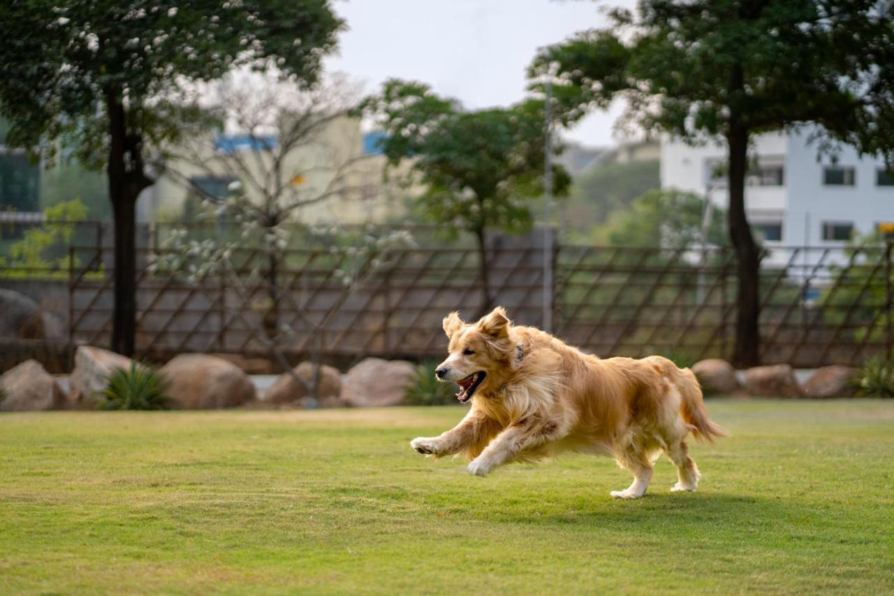 Hotel Hyatt Hyderabad Gachibowli Zewnętrze zdjęcie
