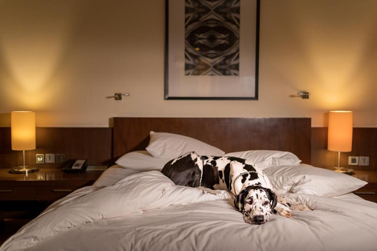 Hotel Hyatt Hyderabad Gachibowli Zewnętrze zdjęcie