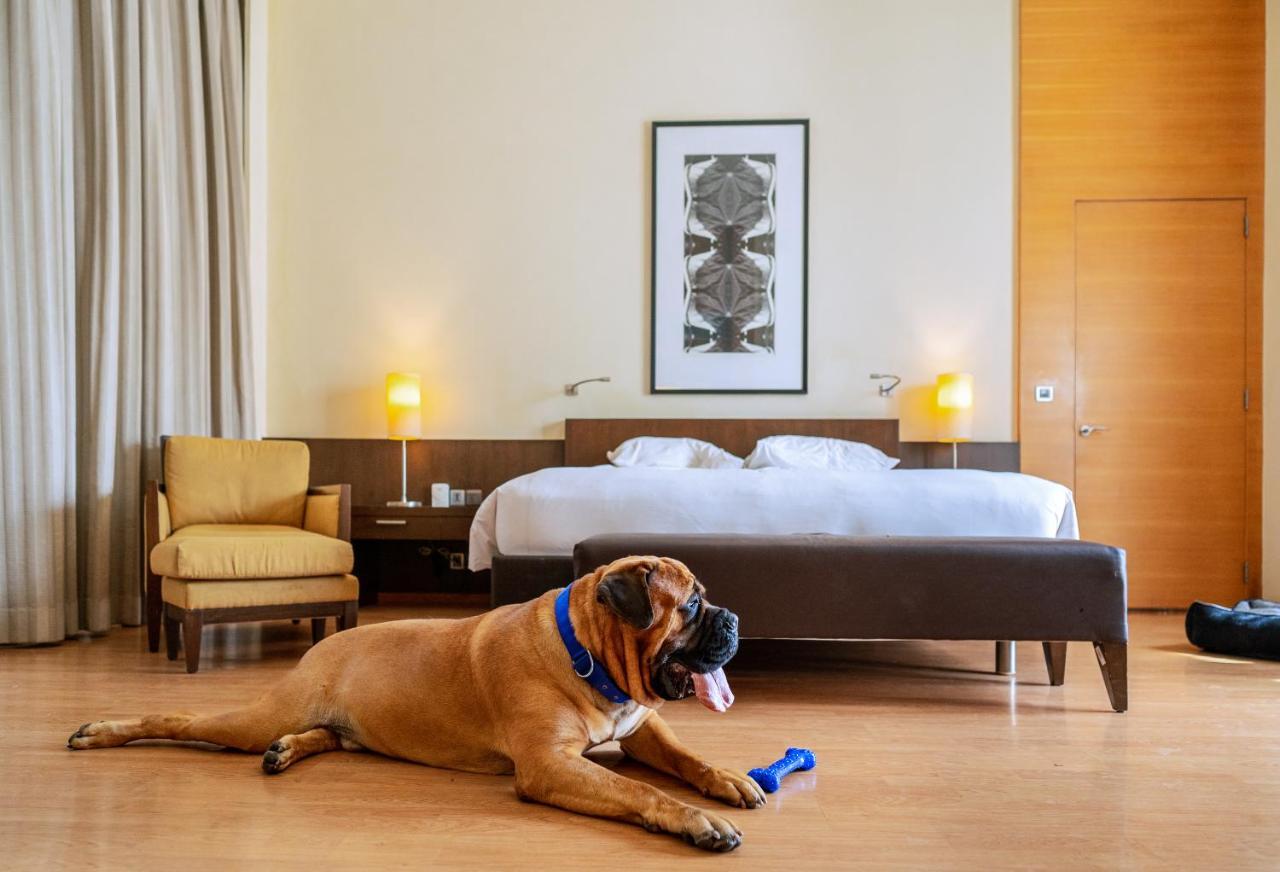 Hotel Hyatt Hyderabad Gachibowli Zewnętrze zdjęcie