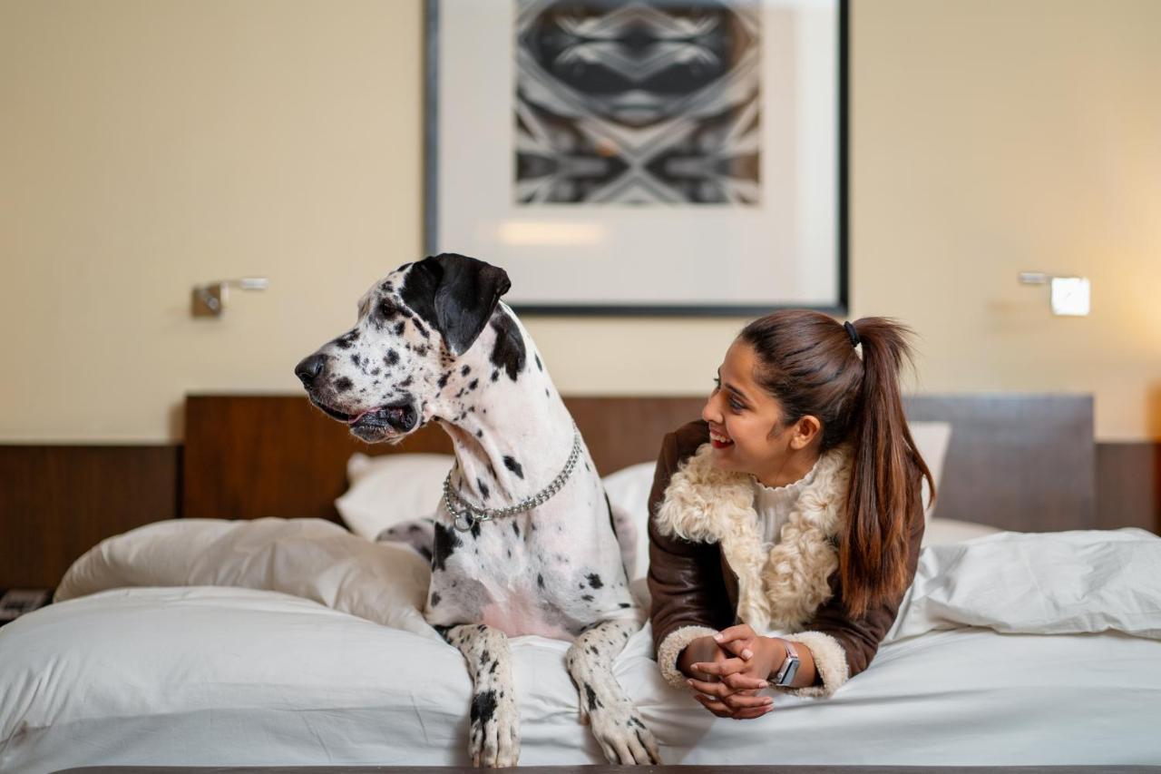 Hotel Hyatt Hyderabad Gachibowli Zewnętrze zdjęcie