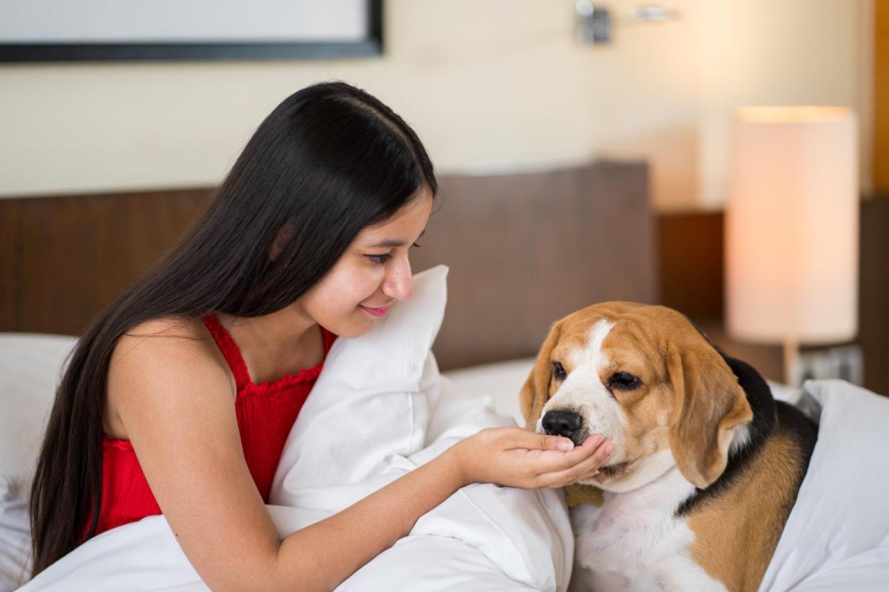 Hotel Hyatt Hyderabad Gachibowli Zewnętrze zdjęcie